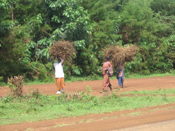 women carrying wood