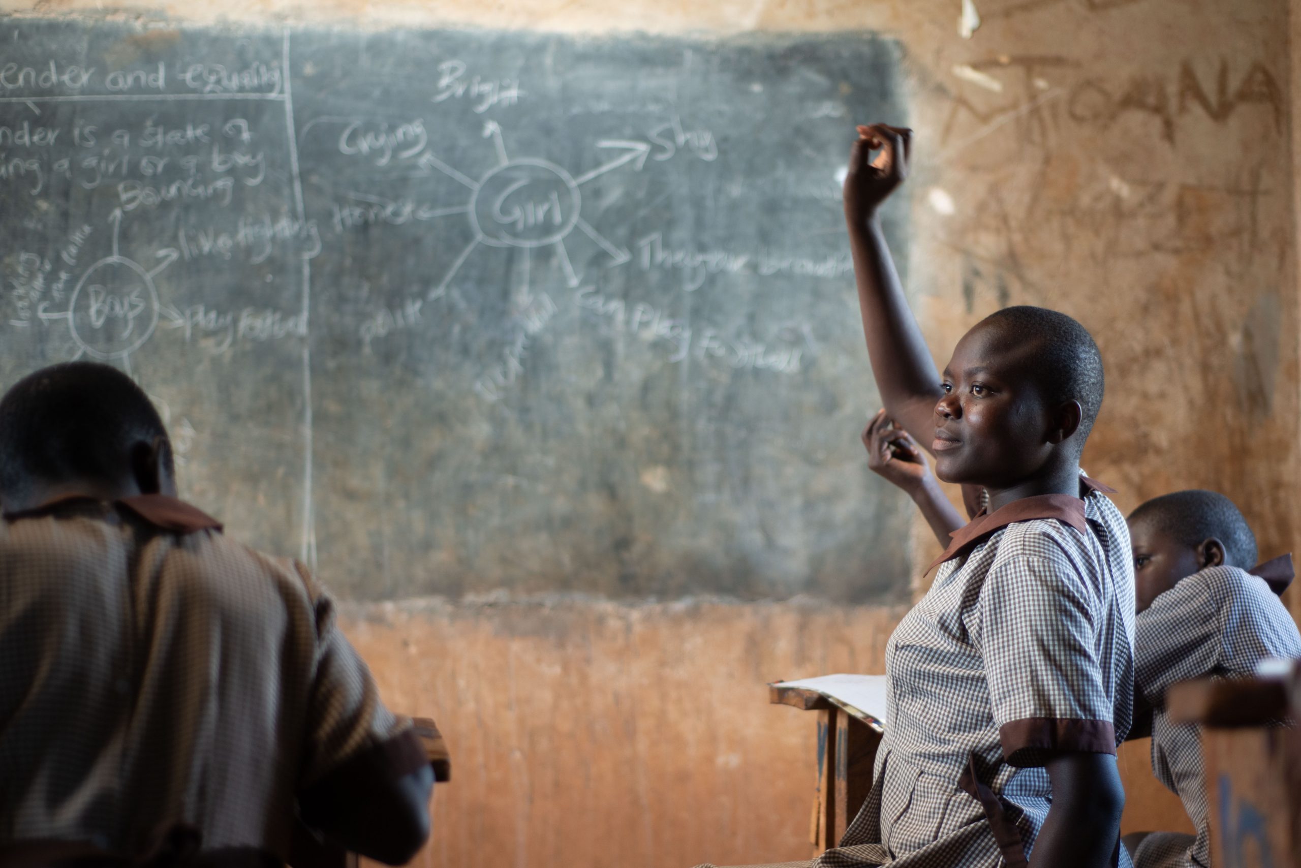 Young girl raises hand in school classroom