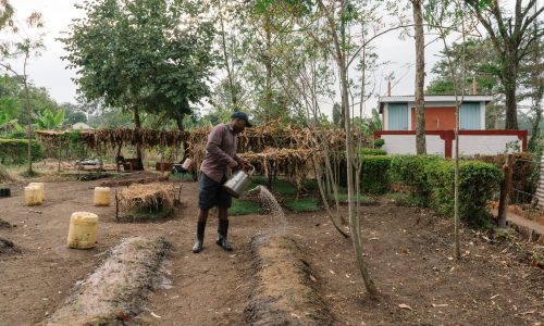 Community-led environmental action in Ndhiwa