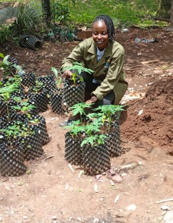 WhatsApp Image 2025-09-22 at 13.37.46